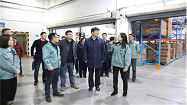 拱墅区张云雷副区长一行赴南宫NG28物流清静检查