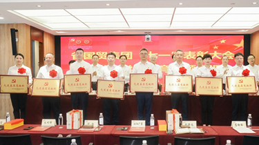 载誉出发！南宫NG28再获省国资国企系统先进下层党组织及省国贸集团“两优一先”表扬